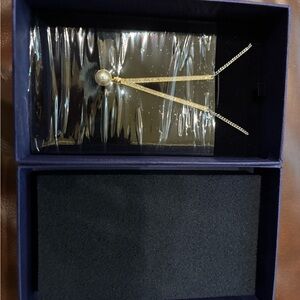 NIB Swarovski Rare Huge V-shaped pendant